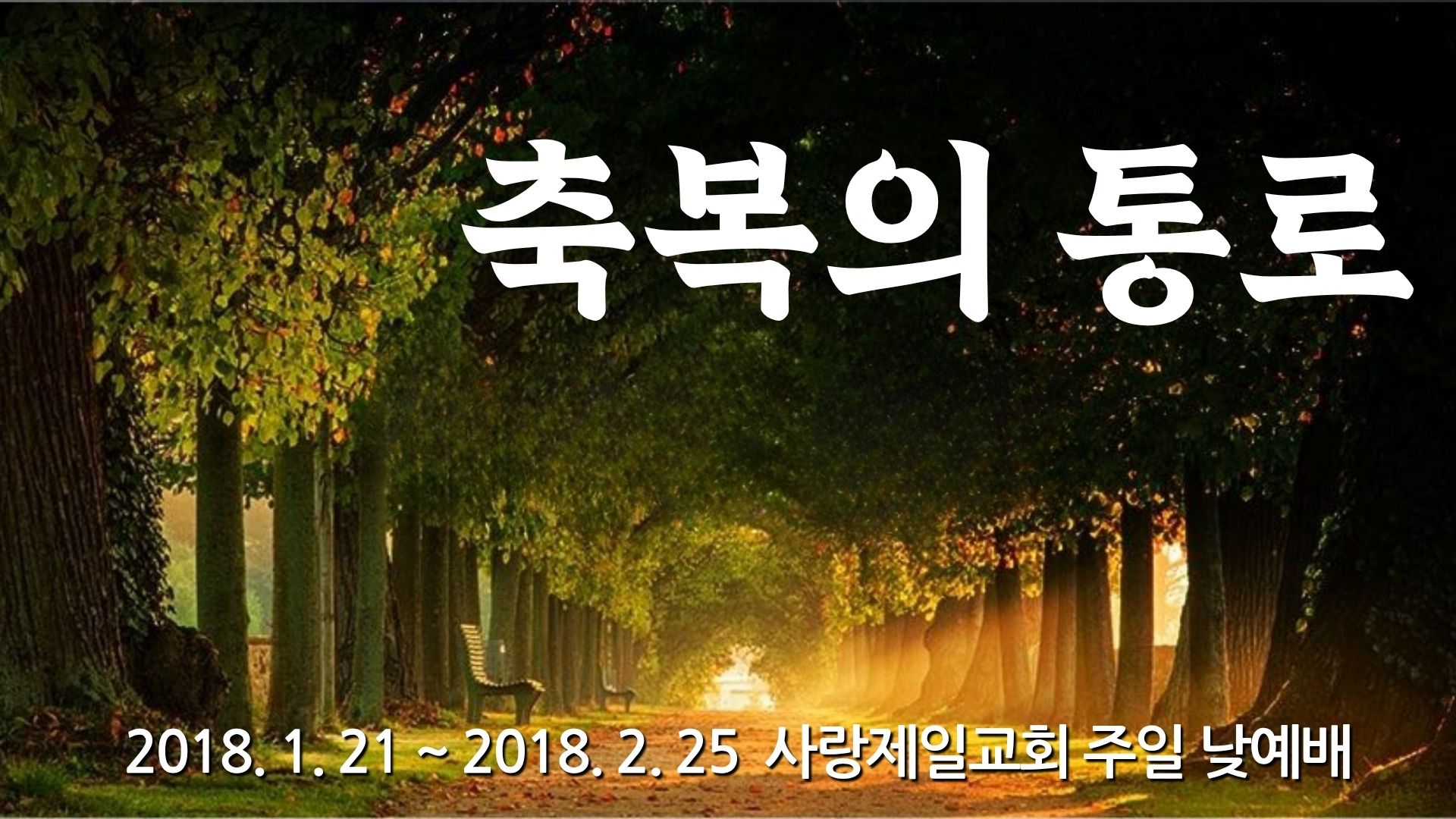 축복의 통로 – 사랑제일교회