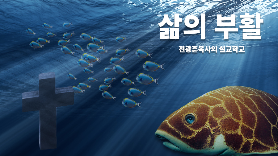 삶의 부활