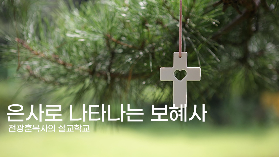 은사로 나타나는 보혜사