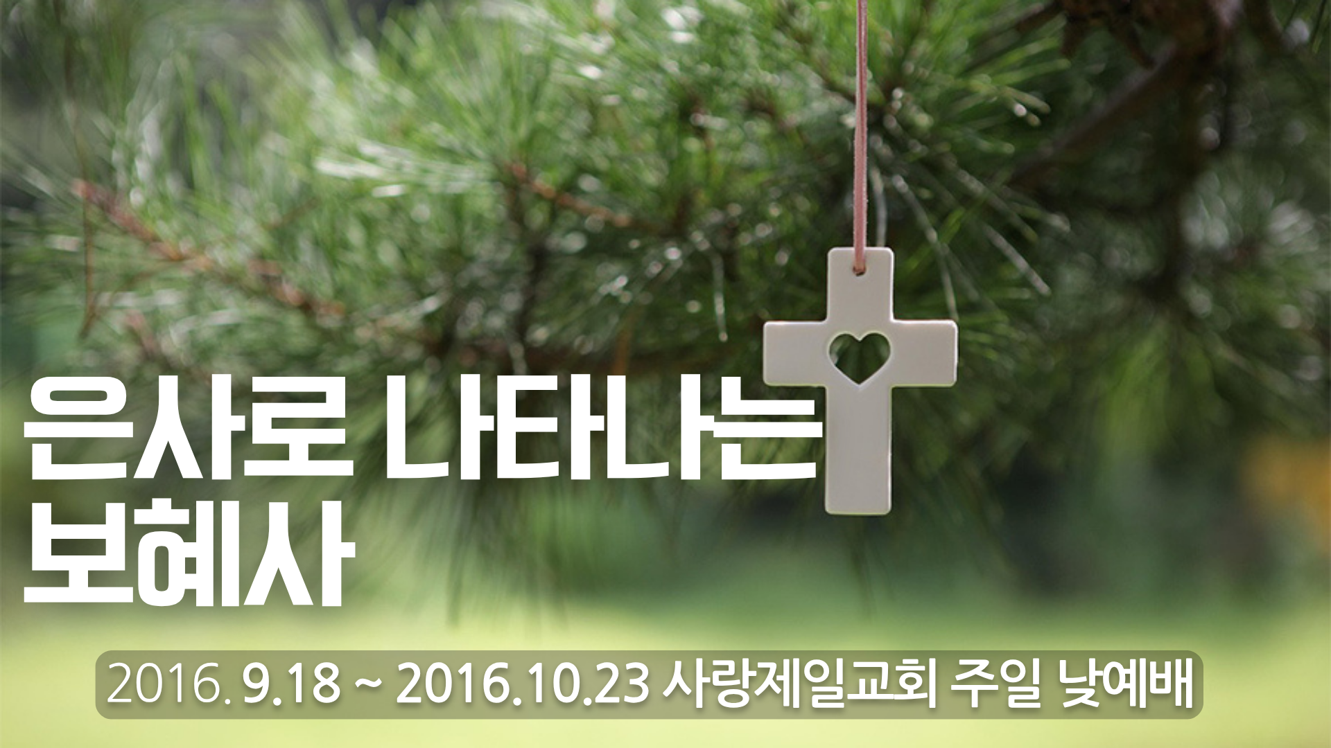 은사로 나타나는 보혜사